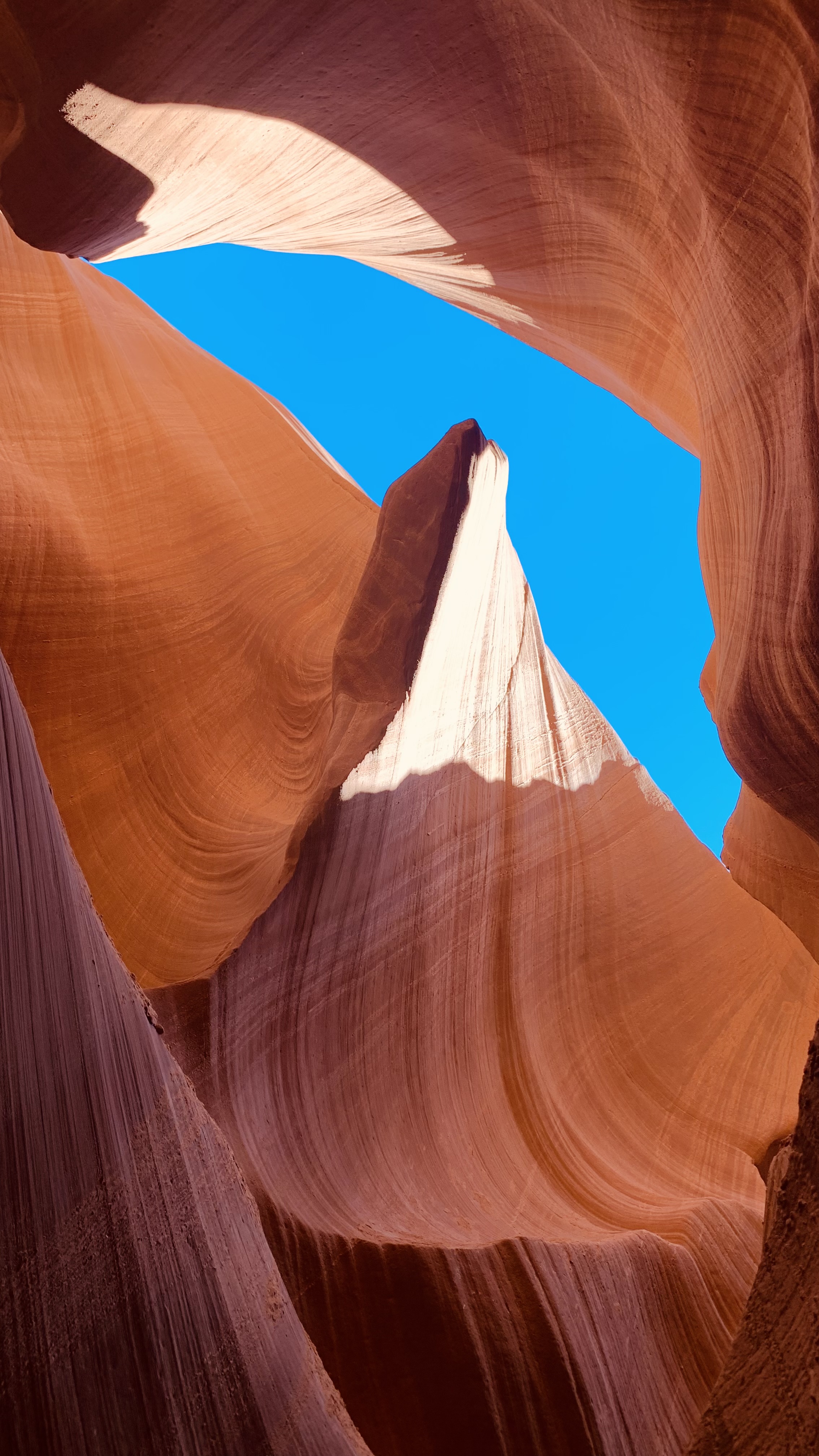 Grand Canyon Antilope